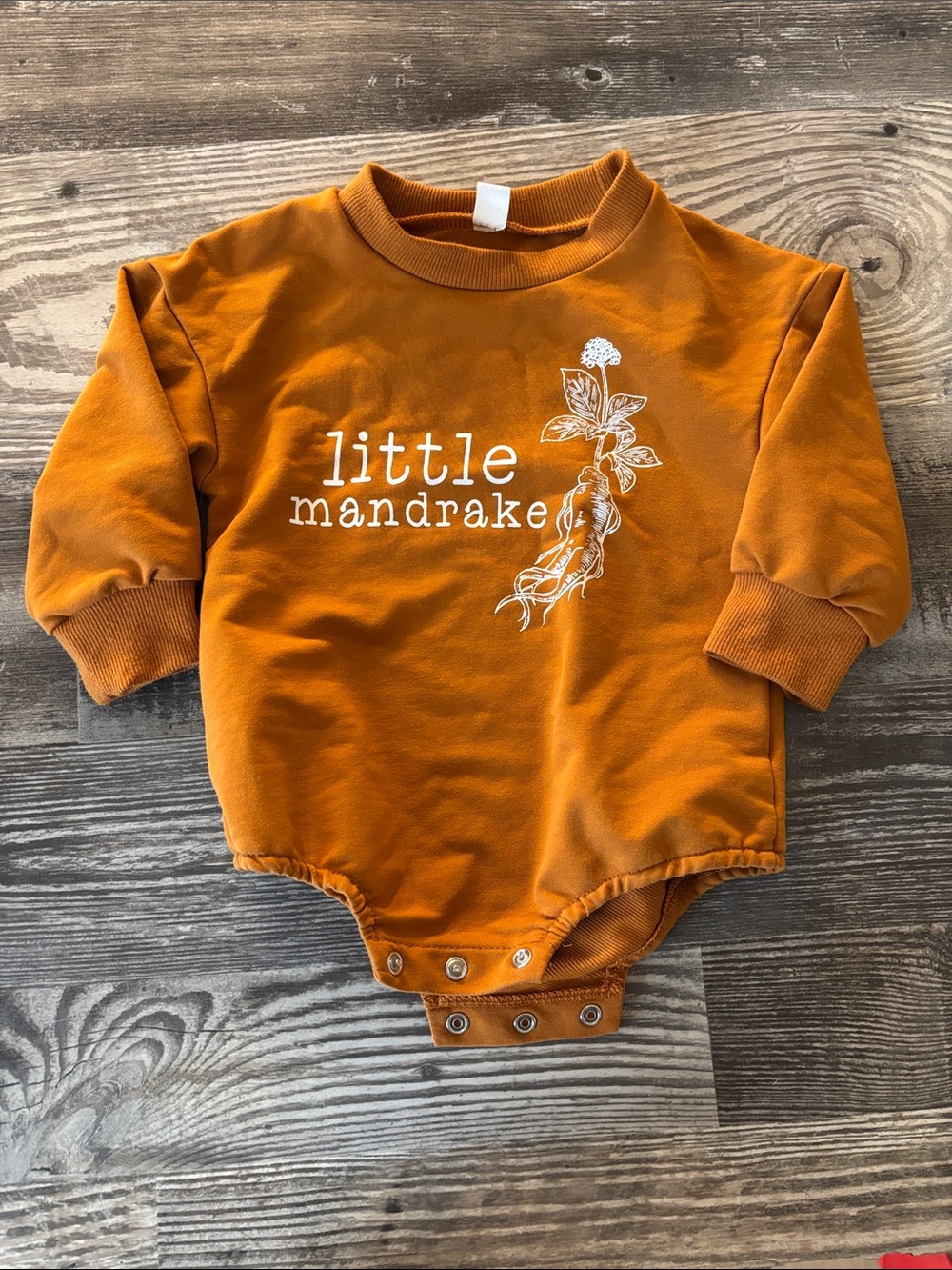 little mandrake Pumpkin Orange Baby Bodysuit